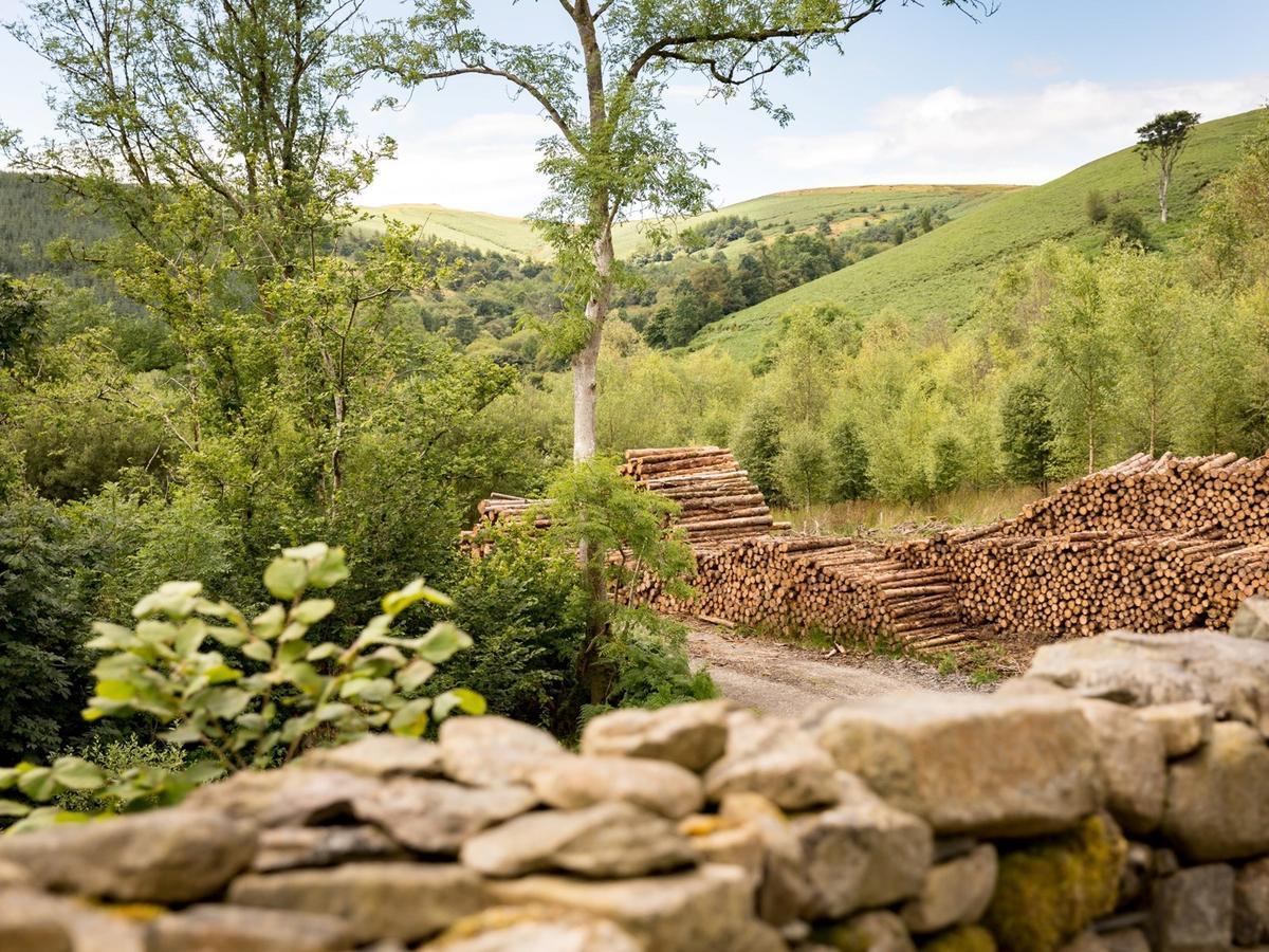Red Kite Barn - Charming Boutique Barn Conversion Newbridge on Wye Exteriör bild